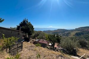 Terreno con palmento cucina e forno a legna