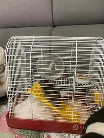 Criceto russo + gabbia e mangime