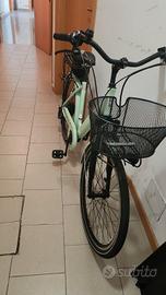 Bicicletta elettrica 
