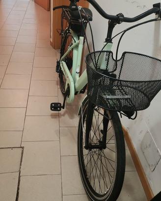 Bicicletta elettrica 