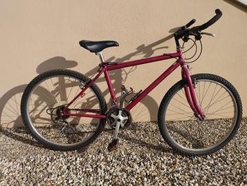 Mountain bike 