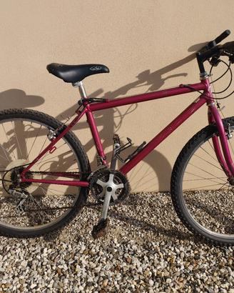 Mountain bike 