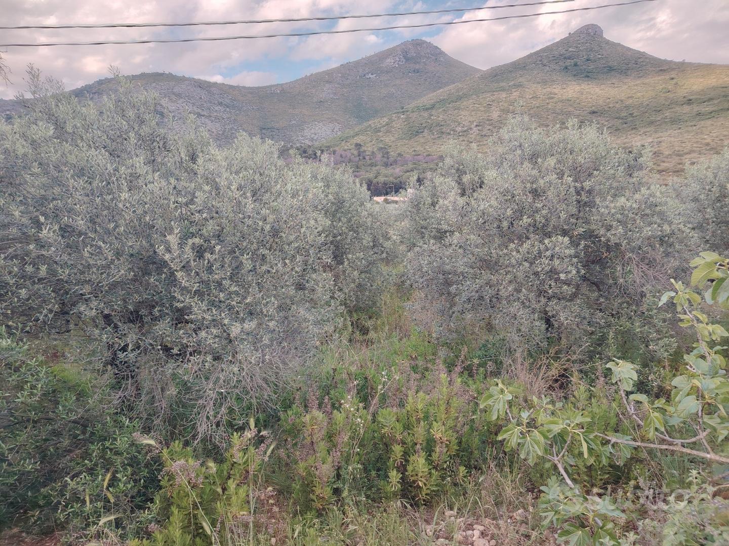 Terreno Agricolo - Vista 4