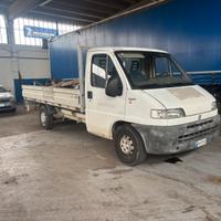 Fiat Ducato cassonato