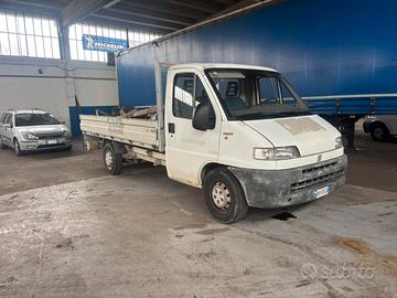 Fiat Ducato cassonato