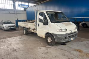 Fiat Ducato cassonato