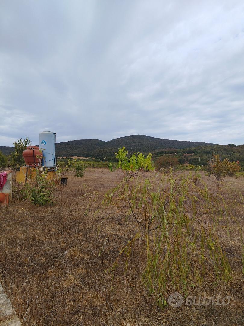 terreno agricolo - Altro