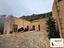 Immagine 7