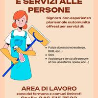 Aiuto domestico completo-Pulizie Stiro-Assistenza