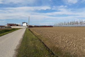 Terreno Agricolo Seminat 1,56 Ettari Porpetto(UD)