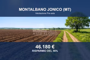 Immobile in asta di 30977 m² a Montalbano Jonico