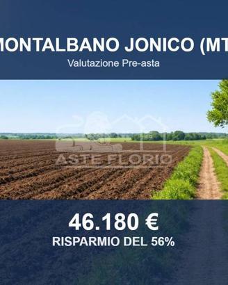 Immobile in asta di 30977 m² a Montalbano Jonico