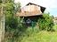 Immagine 30