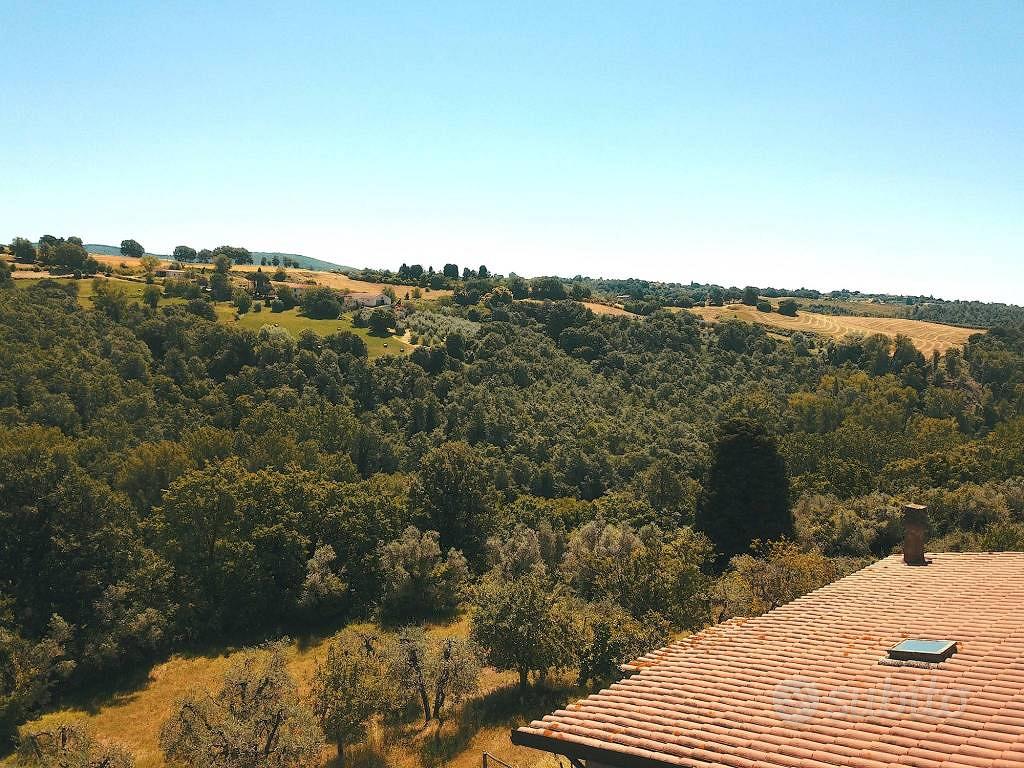 Rustico / Casale di 558 m² con 3 locali a Monteleo - Vista 5