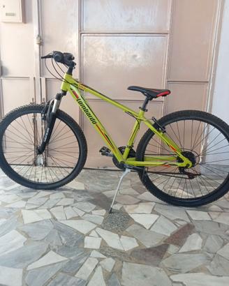 Mountain bike Logan Sestriere 130