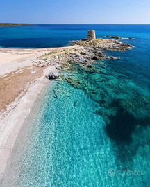 Ultime disponibilità