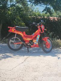 il mio fifty TOP