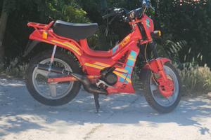 il mio fifty TOP