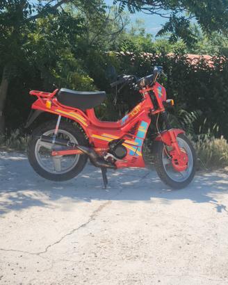il mio fifty TOP