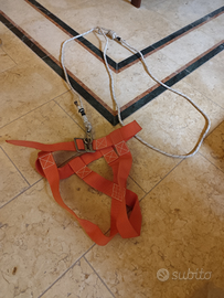 Trapezio per testa d'albero