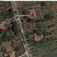 Terreno agricolo Partinico Contrada Bosco Falconer