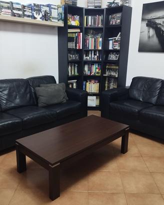 Divani 2 e 3 posti in pelle