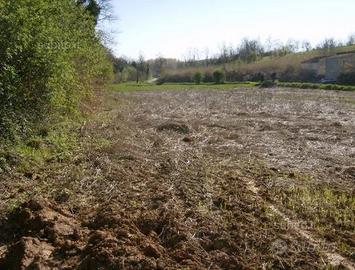 Terreno pochi km da Alessandria