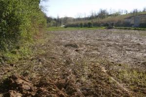 Terreno pochi km da Alessandria