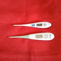 Due termometri digitali  funzionanti 