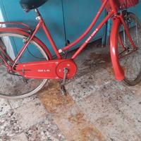 bicicletta da passeggio 