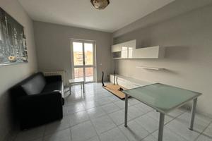 Ampio appartamento arredato zona Val di Sangro