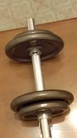 pesi per palestra