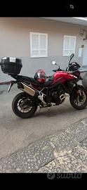 TRIUMPH    TIGER 900 GT PRO
