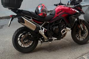 TRIUMPH    TIGER 900 GT PRO
