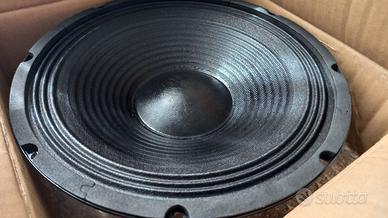 2 woofer da 250mm 25/26cm 10 pollici