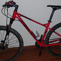 mountain bike Olimpia entry level