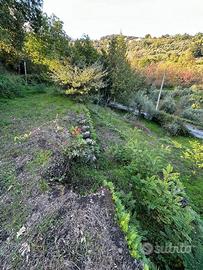 Casa singola con terreno a Santa Venerina