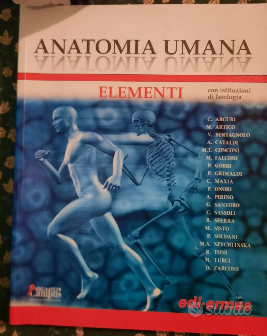 Anatomia Umana elementi