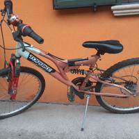 Bici da bambino