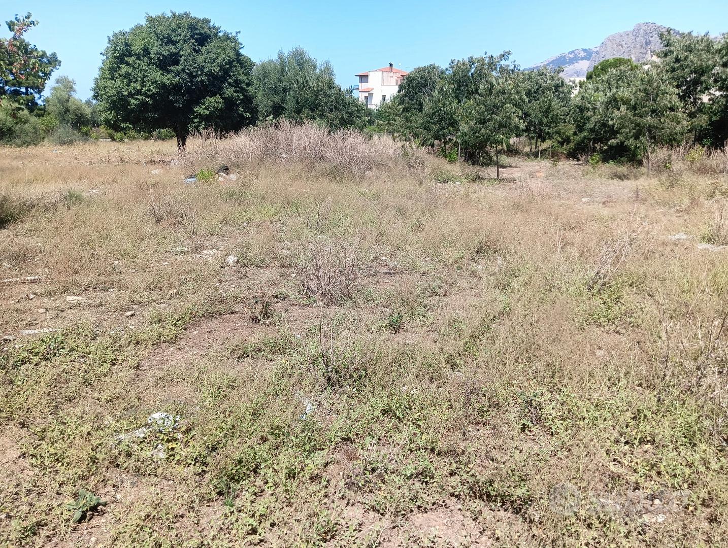 2000 mq di terreno edificabile C1 - Vista 3