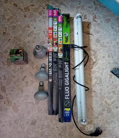 lampade e neon UVB per terrari/rettili
