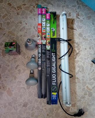 lampade e neon UVB per terrari/rettili