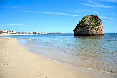 Torre Pali VILLETTAgraziosa PATIO ESTERNO MALDIVE