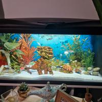 Acquario 90 litri + mobile bianco + accessori