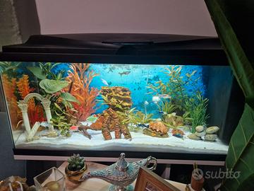 Acquario 90 litri + mobile bianco + accessori