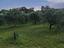 Immagine 23