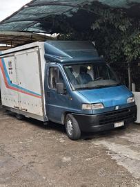 AUTONEGOZIO DUCATO MAXI 1996