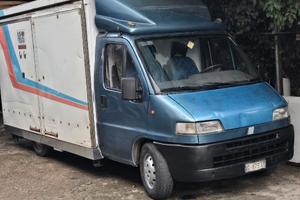 AUTONEGOZIO DUCATO MAXI 1996