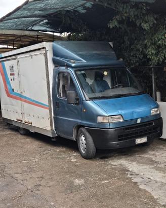 AUTONEGOZIO DUCATO MAXI 1996