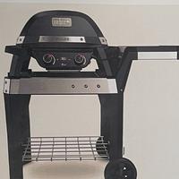 Barbecue elettrico weber Pulse 2000